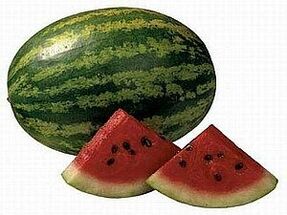 Watermelon diet to lose weight
