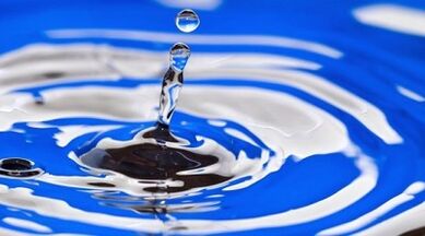 the essence of a drink diet for weight loss